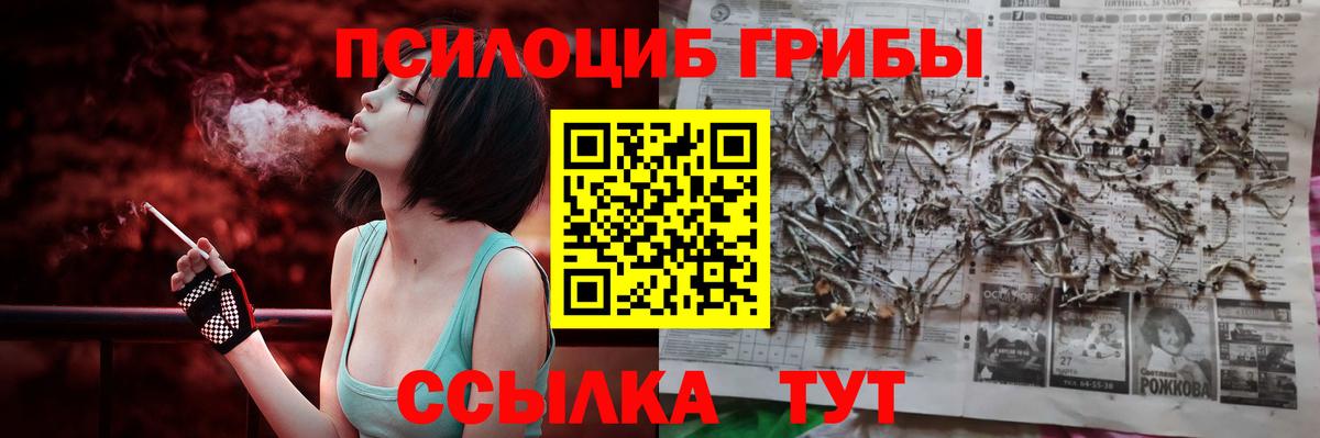 Псилоцибиновые грибы Psilocybe  Вход с VPN  Звенигород 