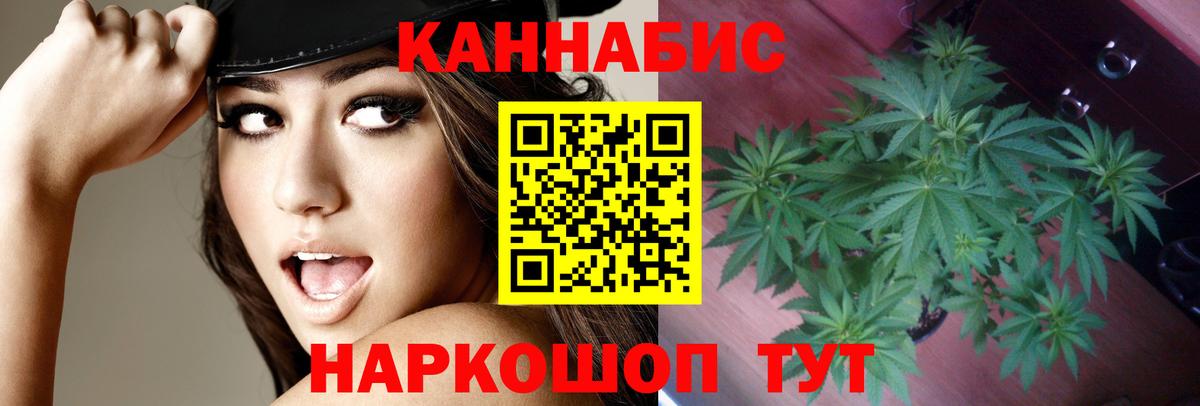 Бошки Шишки планчик Звенигород